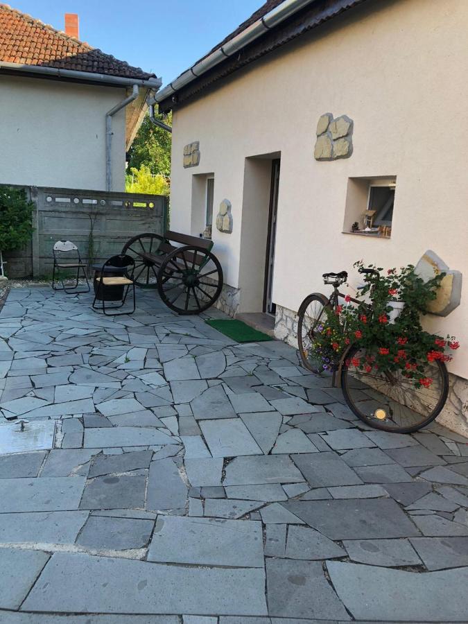 Casa Cezara Leilighet Silvasu de Jos Eksteriør bilde