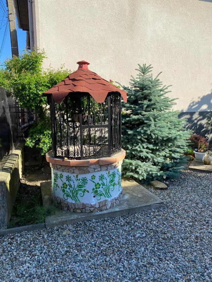 Casa Cezara Leilighet Silvasu de Jos Eksteriør bilde
