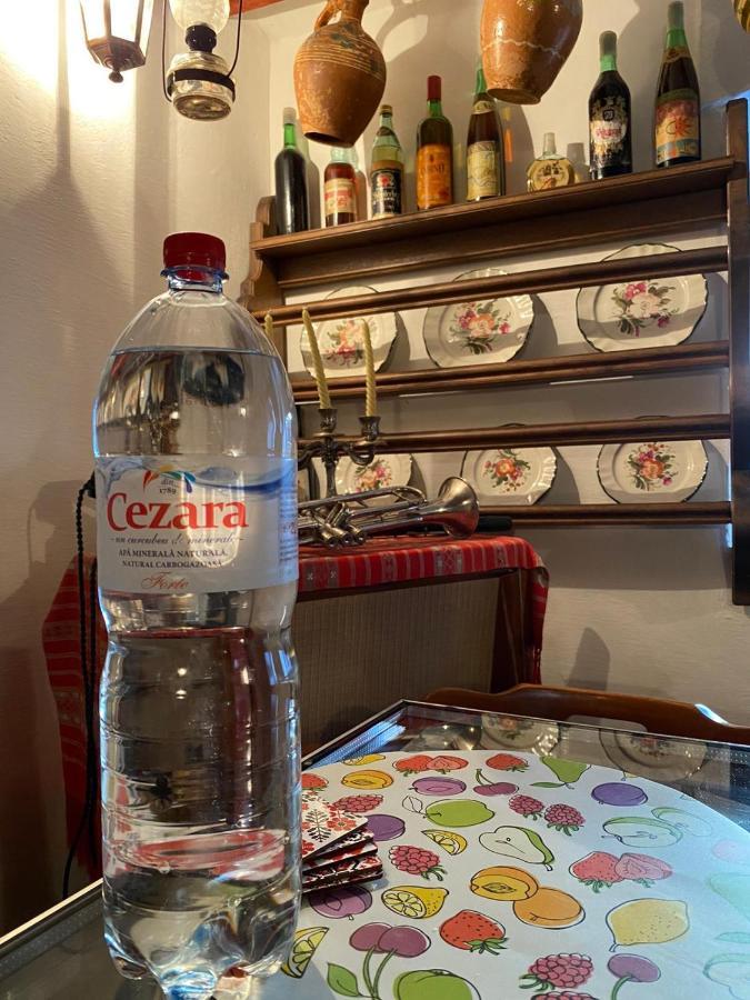 Casa Cezara Leilighet Silvasu de Jos Eksteriør bilde