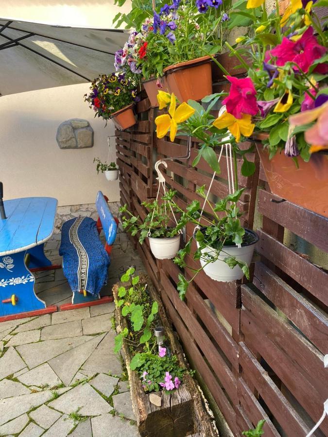 Casa Cezara Leilighet Silvasu de Jos Eksteriør bilde