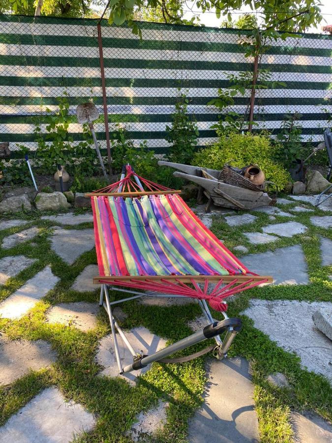 Casa Cezara Leilighet Silvasu de Jos Eksteriør bilde