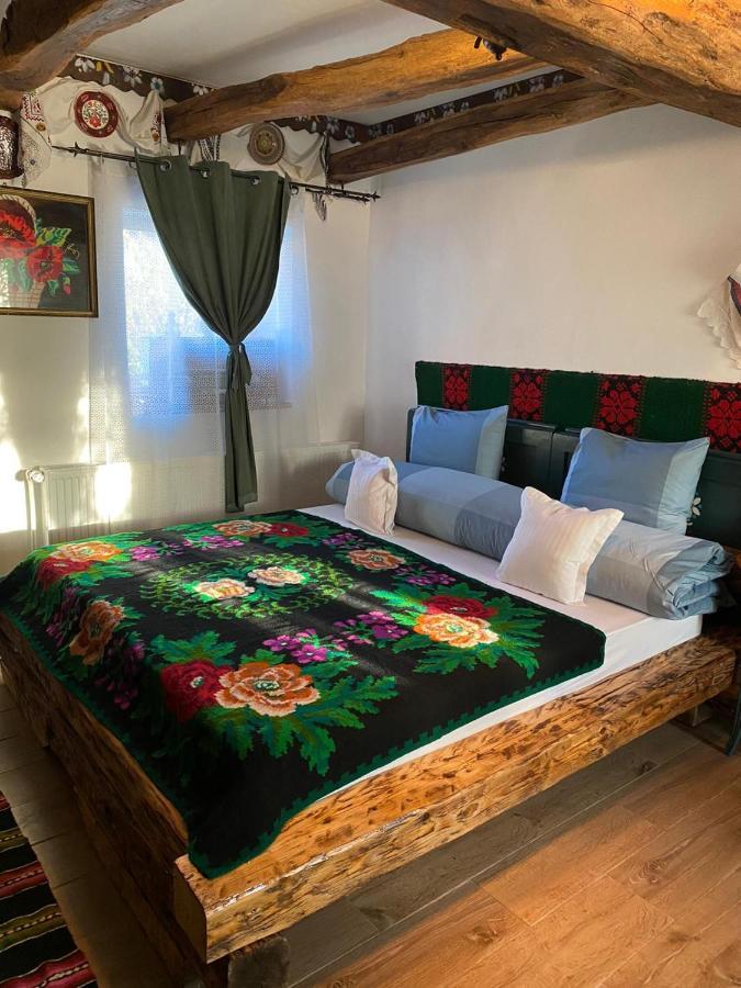 Casa Cezara Leilighet Silvasu de Jos Eksteriør bilde