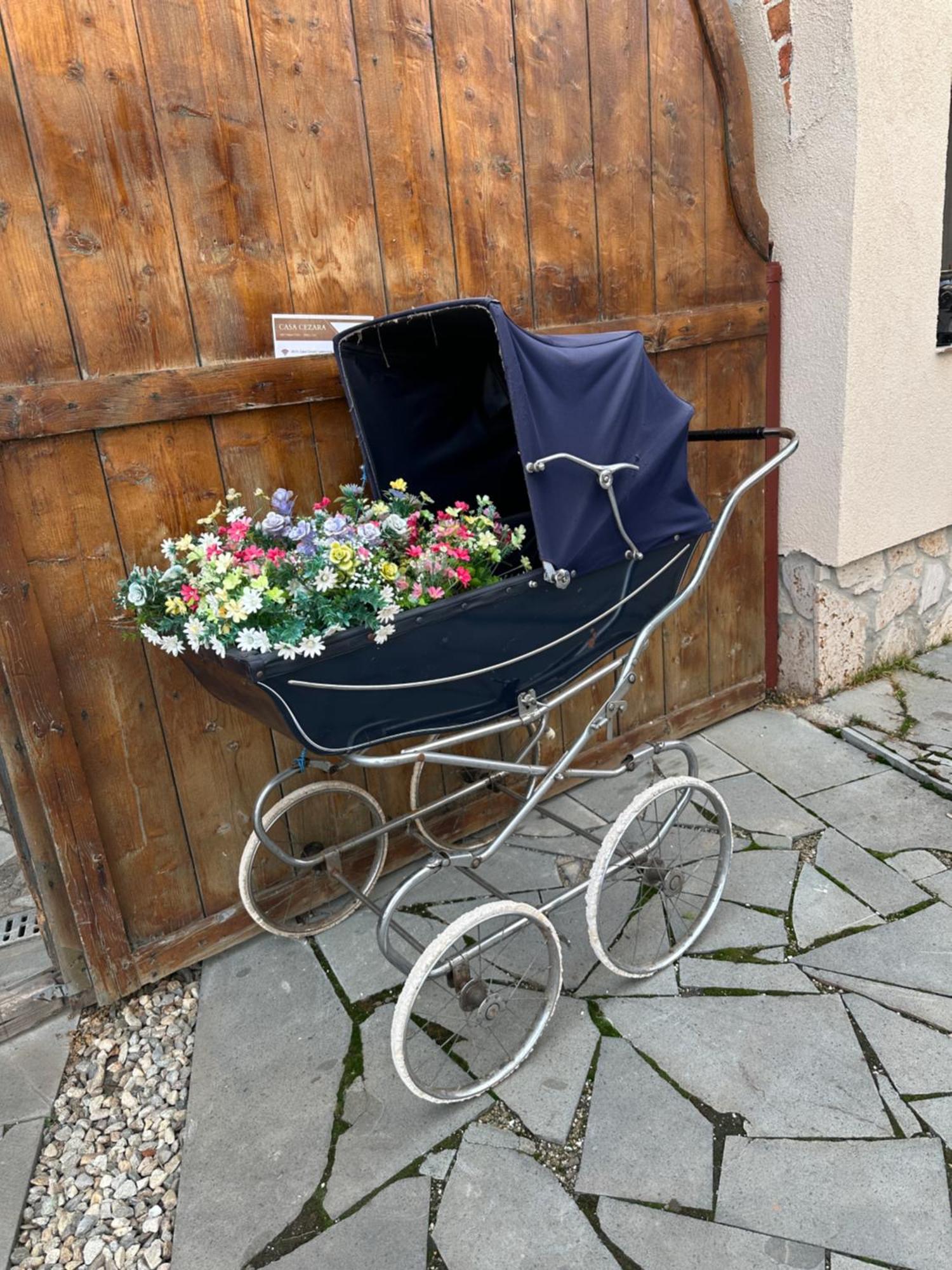 Casa Cezara Leilighet Silvasu de Jos Eksteriør bilde
