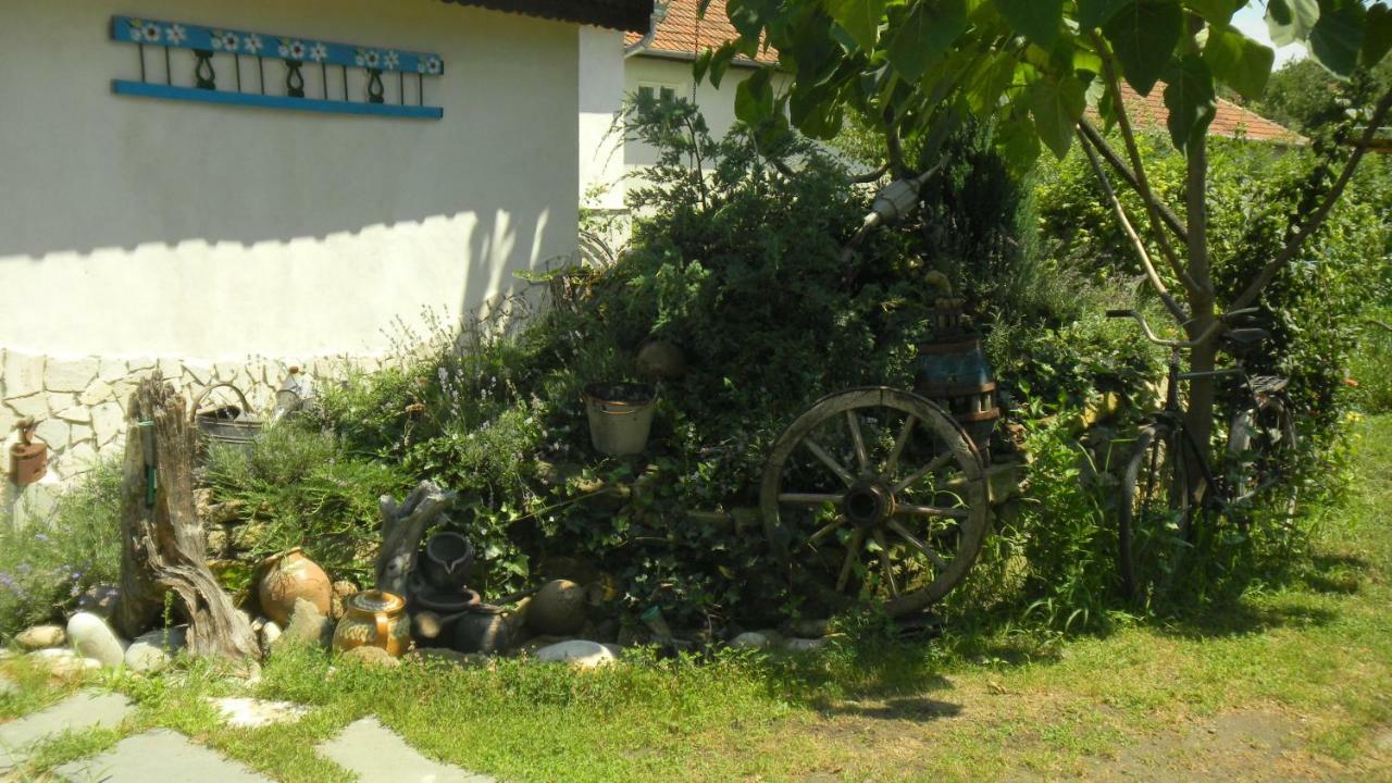 Casa Cezara Leilighet Silvasu de Jos Eksteriør bilde